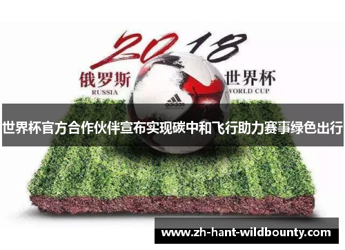 世界杯官方合作伙伴宣布实现碳中和飞行助力赛事绿色出行 世界杯官方合作伙伴宣布实现碳中和飞行助力赛事绿色出行