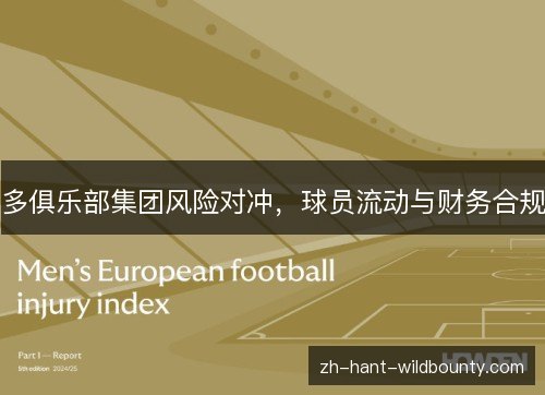 多俱乐部集团风险对冲,球员流动与财务合规 多俱乐部集团风险对冲,球员流动与财务合规